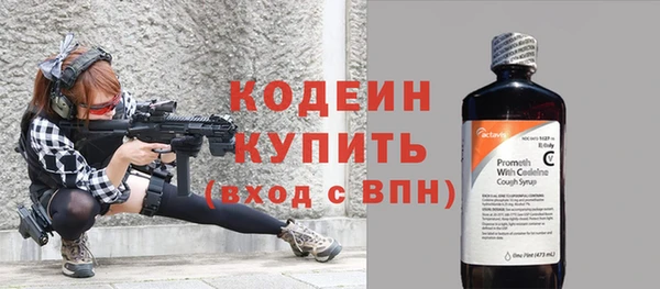 хмурый Касимов