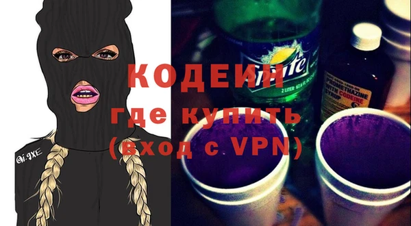 хмурый Касимов