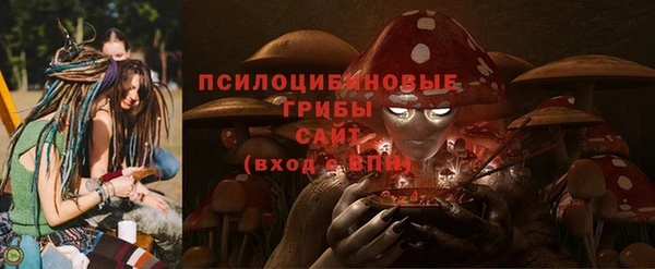 хмурый Касимов